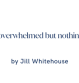 Jill W Blog header stress bucket Oct 26 (1)